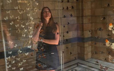 Making a difference with The Design Trust