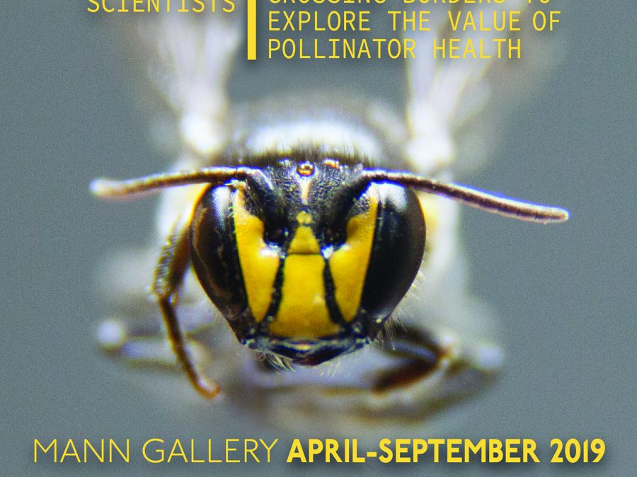 PolliNation: Artists Crossing Borders with Scientists to Explore the Value of Pollinator Health