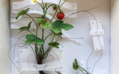 Making a Wild strawberry sculpture from honey bee wax.