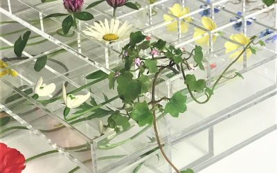 Collect Open 2020 a few days to go…