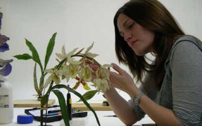 The Names To Invest In Now, Elle Decoration UK