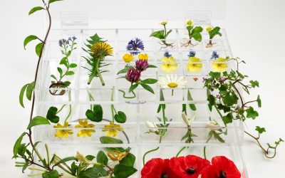 Collect Open, London