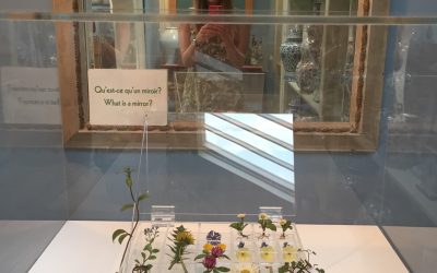 Polly Devlin’s ‘Treasure’, a visit to the collector’s home