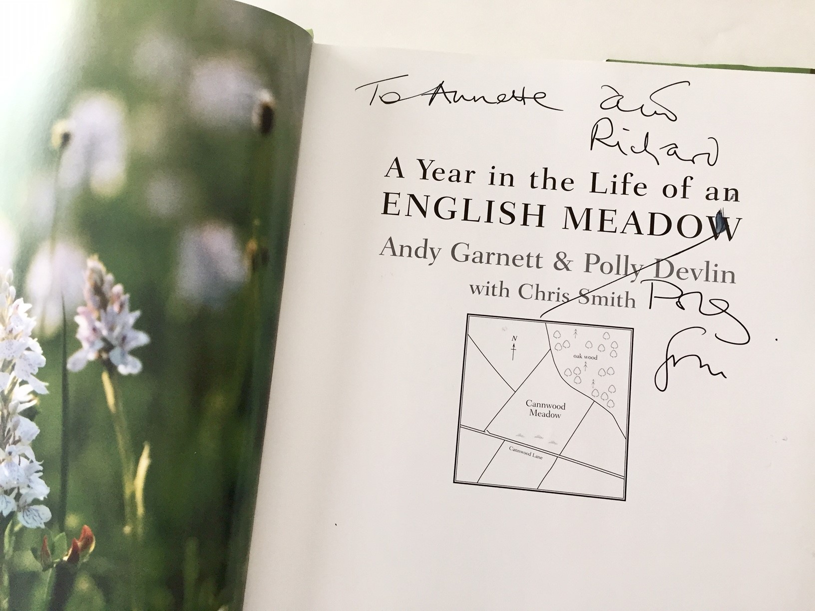 A Year in the Life of an English Meadow