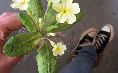 Meditation in Material with Ruup & Form at Collect 2021