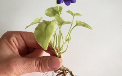 Crafts Council VIP Collect Selects 2021 talks