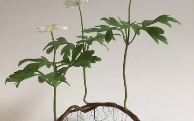 Artefact at Chelsea Harbour and BBC Countryfile archive