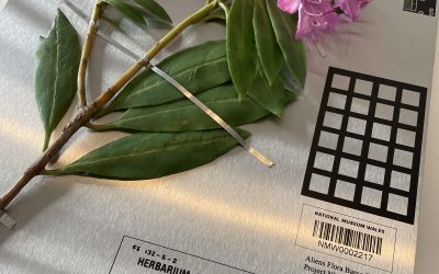 Collect 2022. Memories Live Here, with Ruup & Form