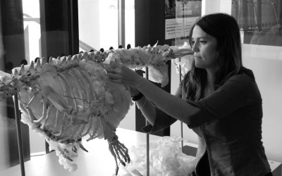 A new role. Director of Connect-Conserve Cymru.