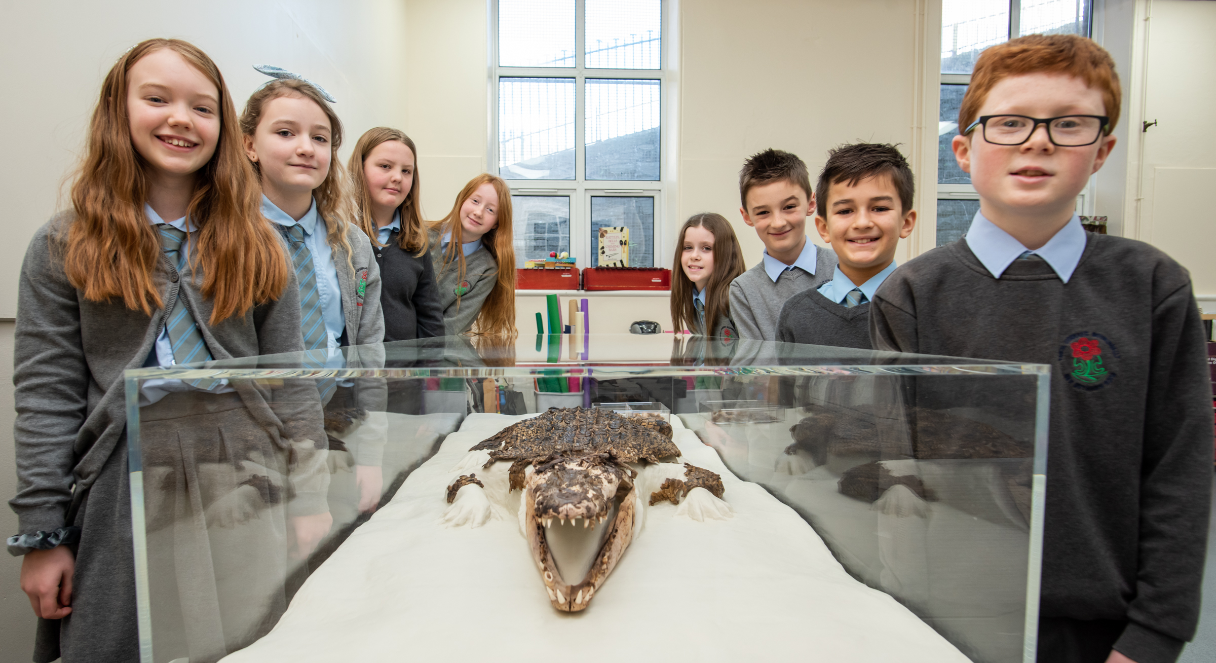Happy school children from Ysgol Gynradd Gymraeg Bodringallt with their newly conserved crocodile specimen