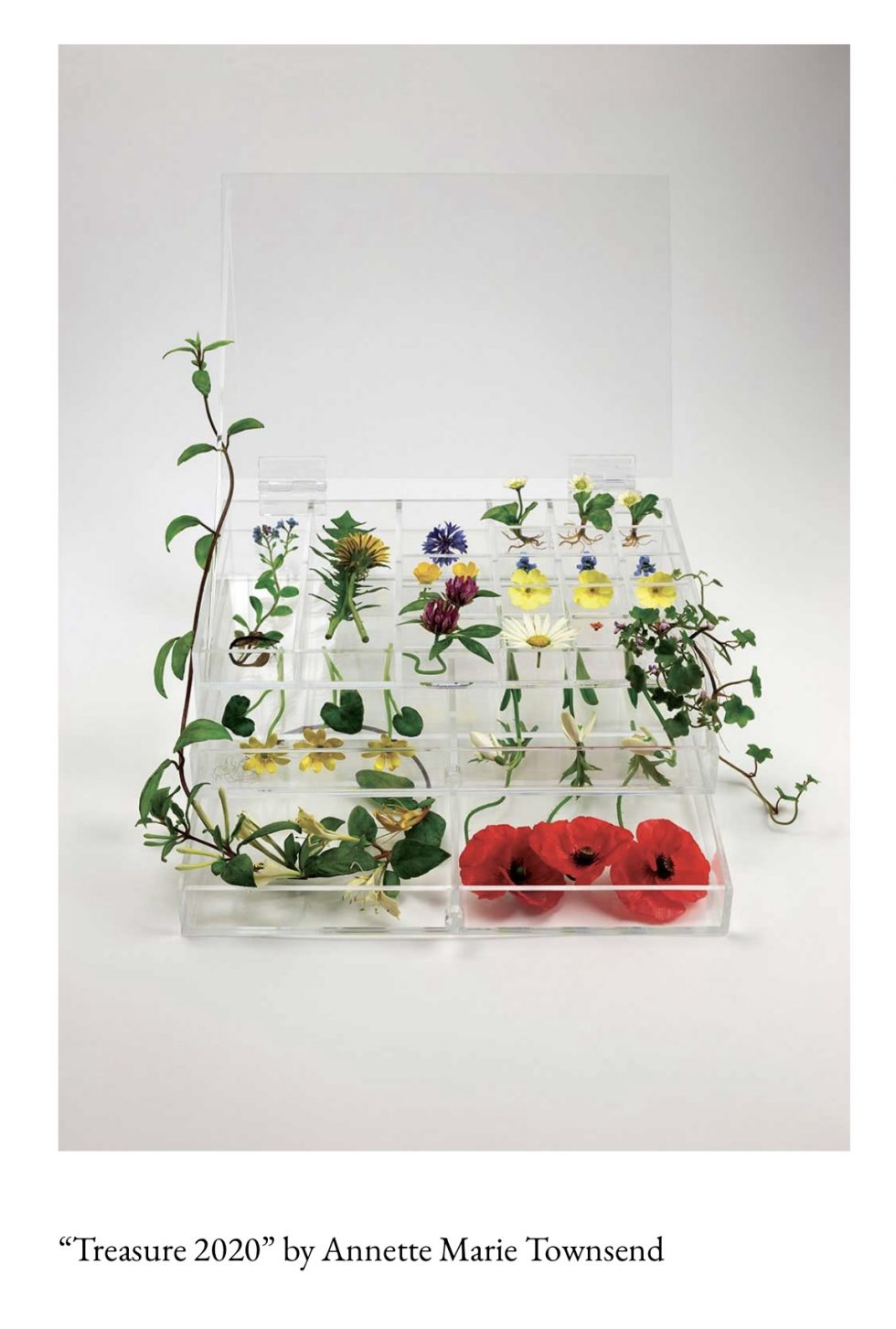 Polly Devlin’s ‘Treasure’, a visit to the collector’s home