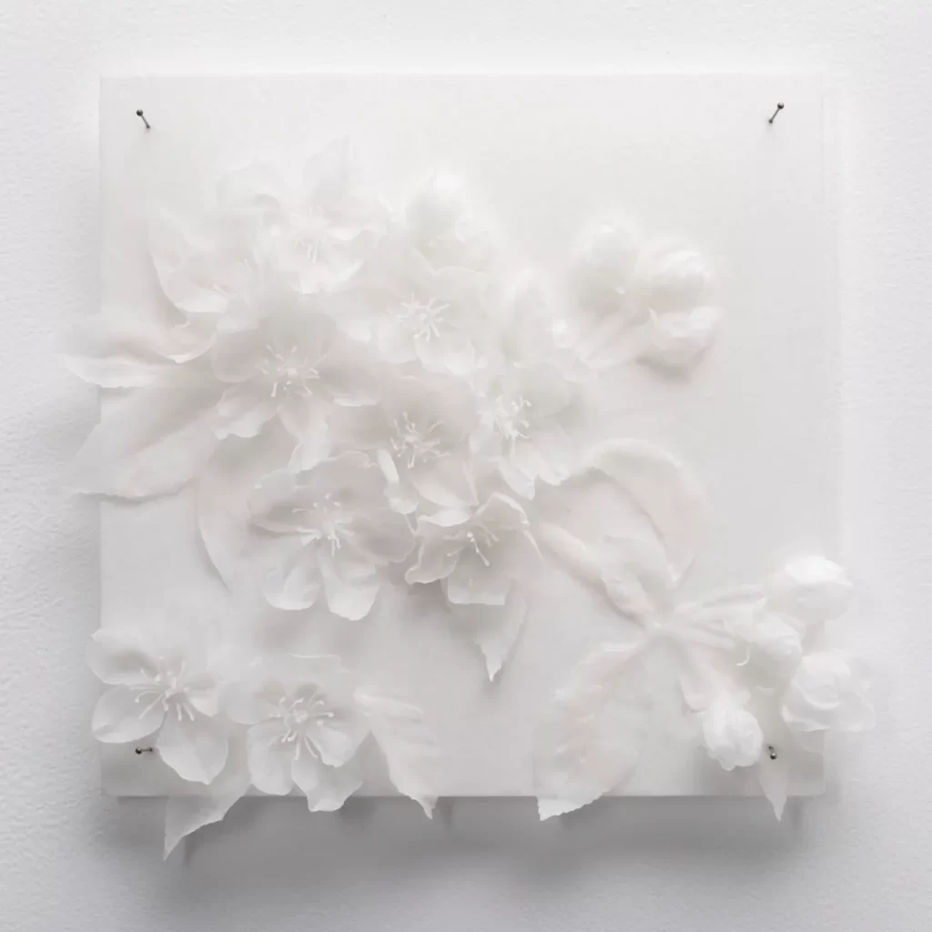 White wax crab apple blossom in relief on waxed paper with entomology pins.