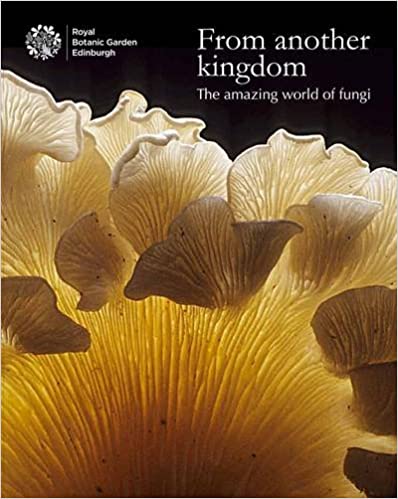 From Another Kingdom – The Amazing World of Fungi