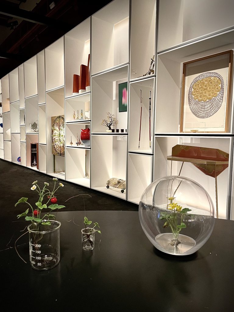 Wax botanical sculptures by Annette Marie Townsend displayed within the Homo Faber exhibition, Venice.