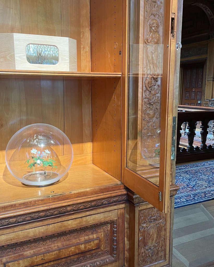 Wood Anemone from the Life Support series displayed within a hand-blown glass orb inside an antique cabinet at Eye of the Collector 2022, Two Temple Place, London.
