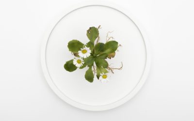 Byard Art, Cambridge