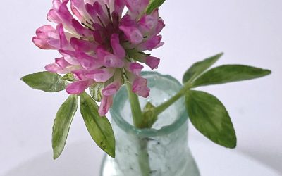 Art Central, Hong Kong