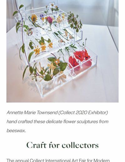 Colourful wax sculptures of wildflowers, displayed in a Perspex box