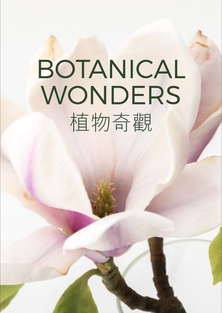 Front cover of the Botanical Wonders exhibition catalogue showing a close-up of a wax magnolia flower sculpture.