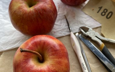 Two Spring 2024 magazine features