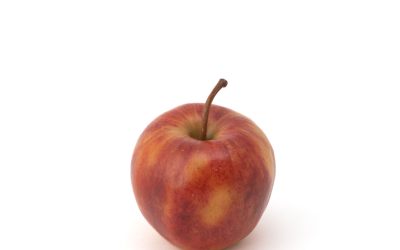 Summer Exhibition, Cardiff