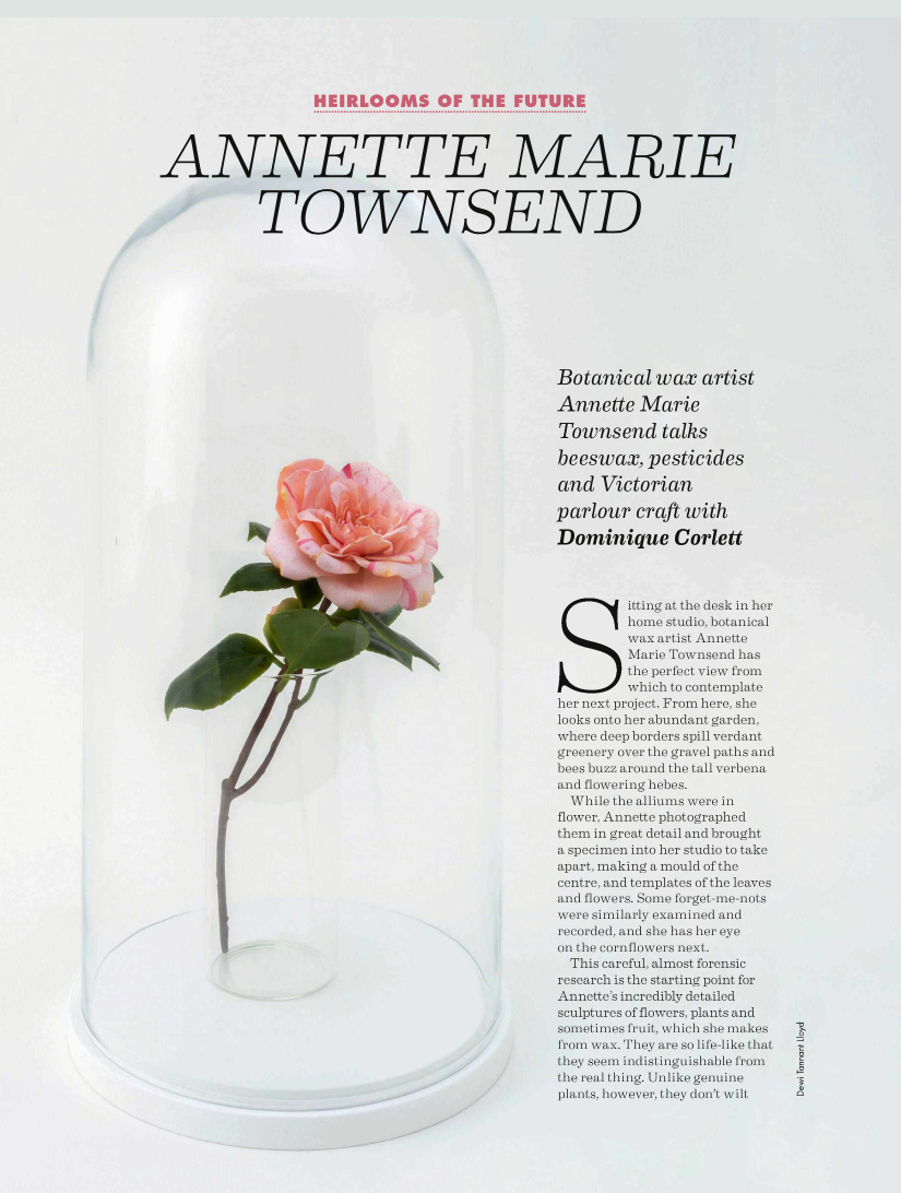 Homes & Antiques 2