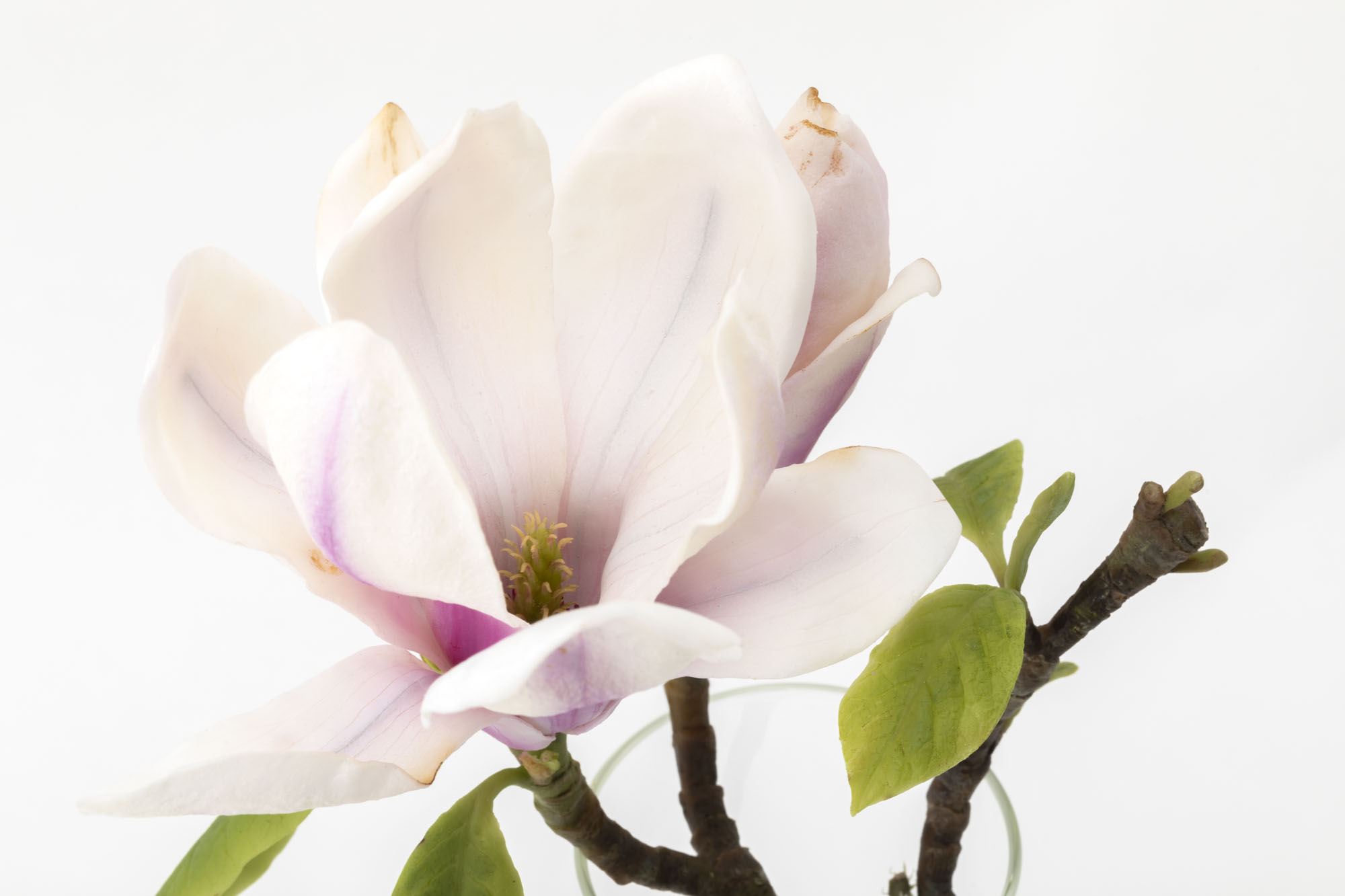 Close up of white wax magnolia flower sculpture with layered petals<br />
