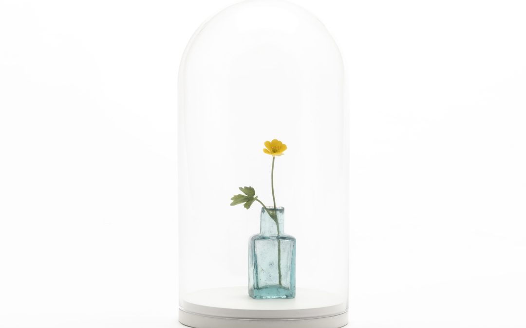 Winter Exhibition, Cardiff