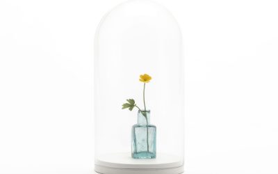 Winter Exhibition, Cardiff