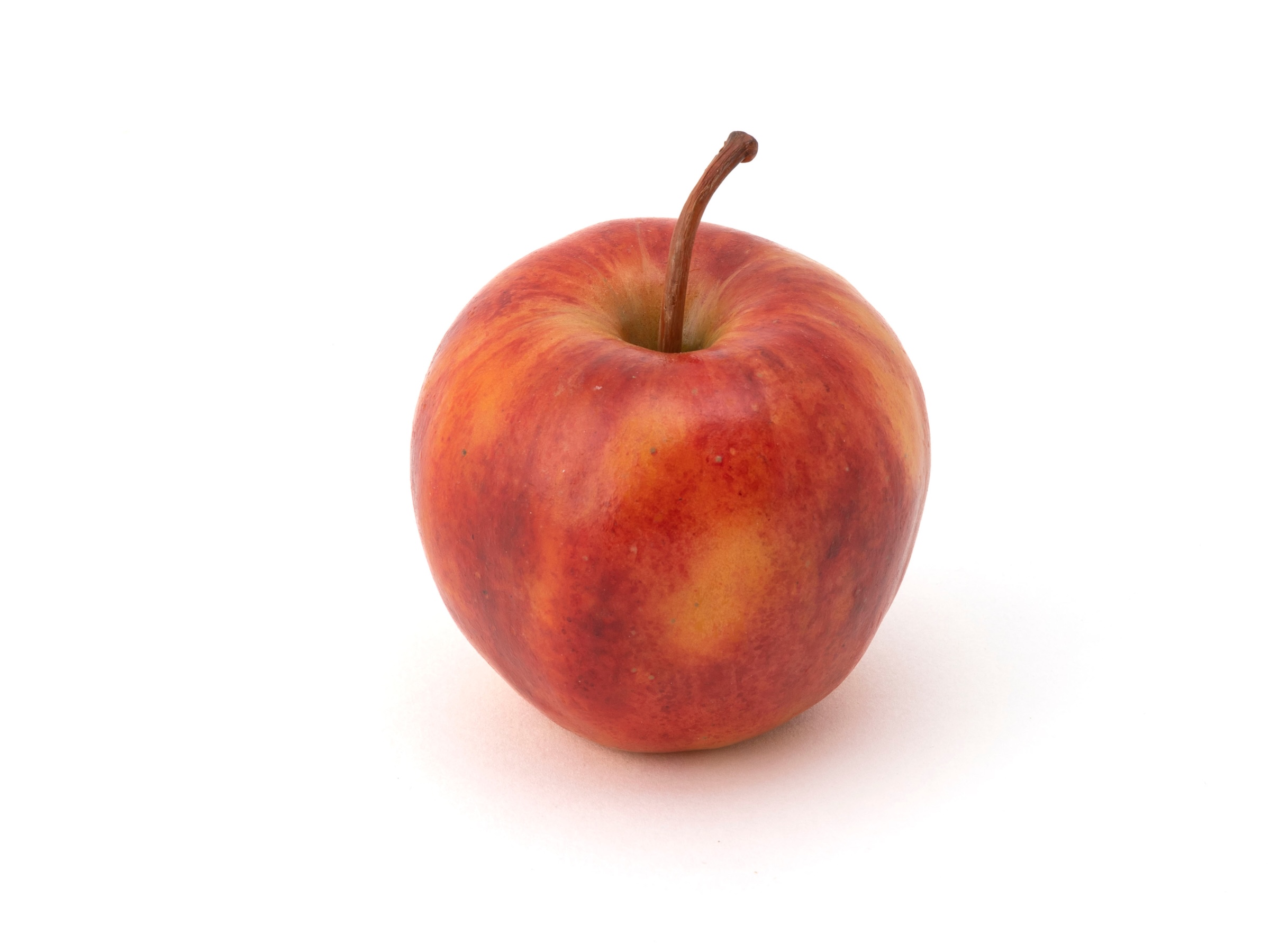 Wax red Gala apple 