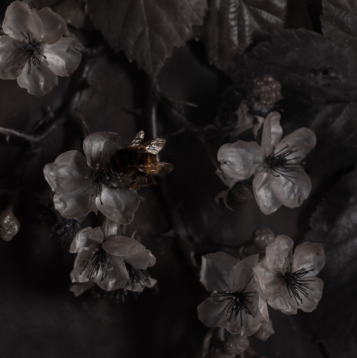 Close up detail of black wax blackberry plant sculptures with dried bees