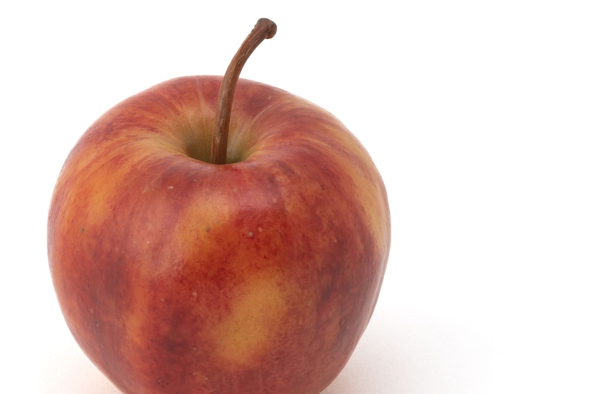 Close-up of wax apple sculpture, Paradise Lost.