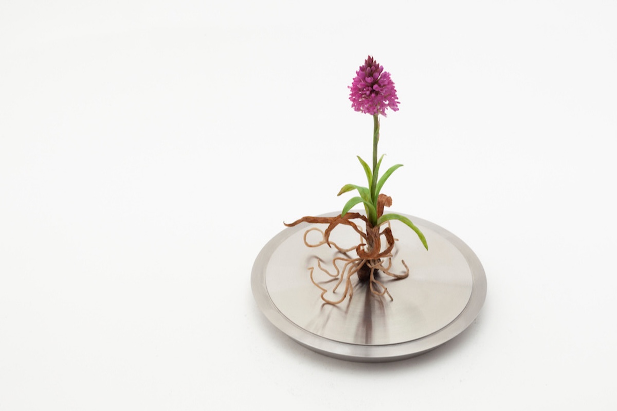 Wax sculpture of a pyramid orchid mounted on a metal base.