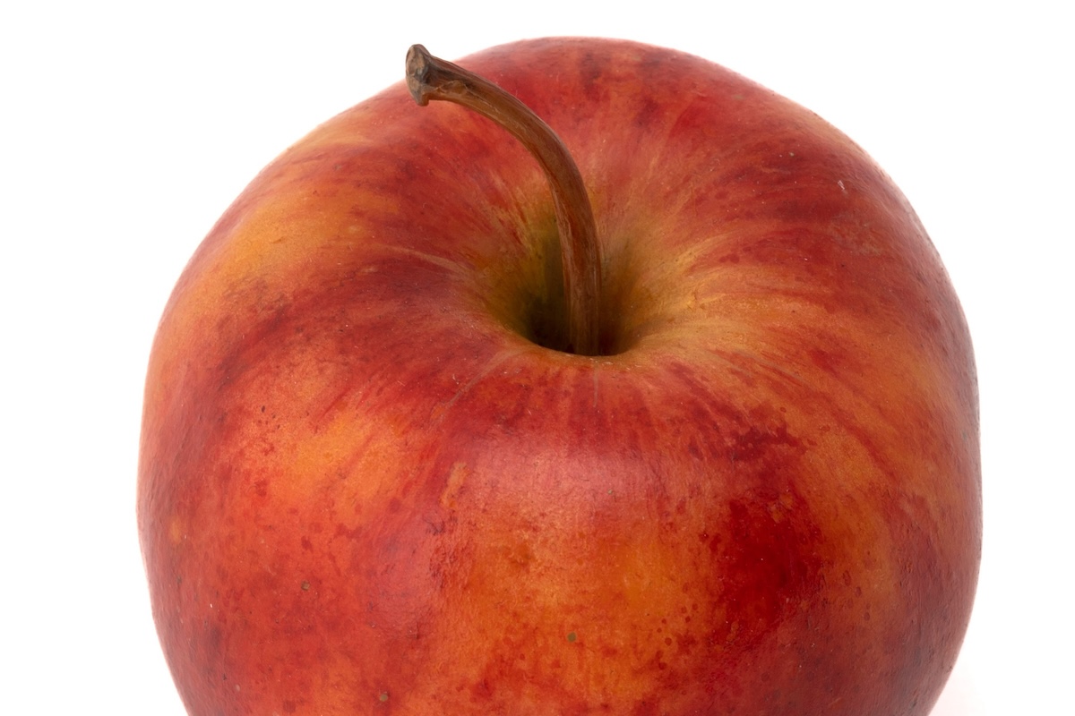 Close up detail of wax apple sculpture Paradise Lost.