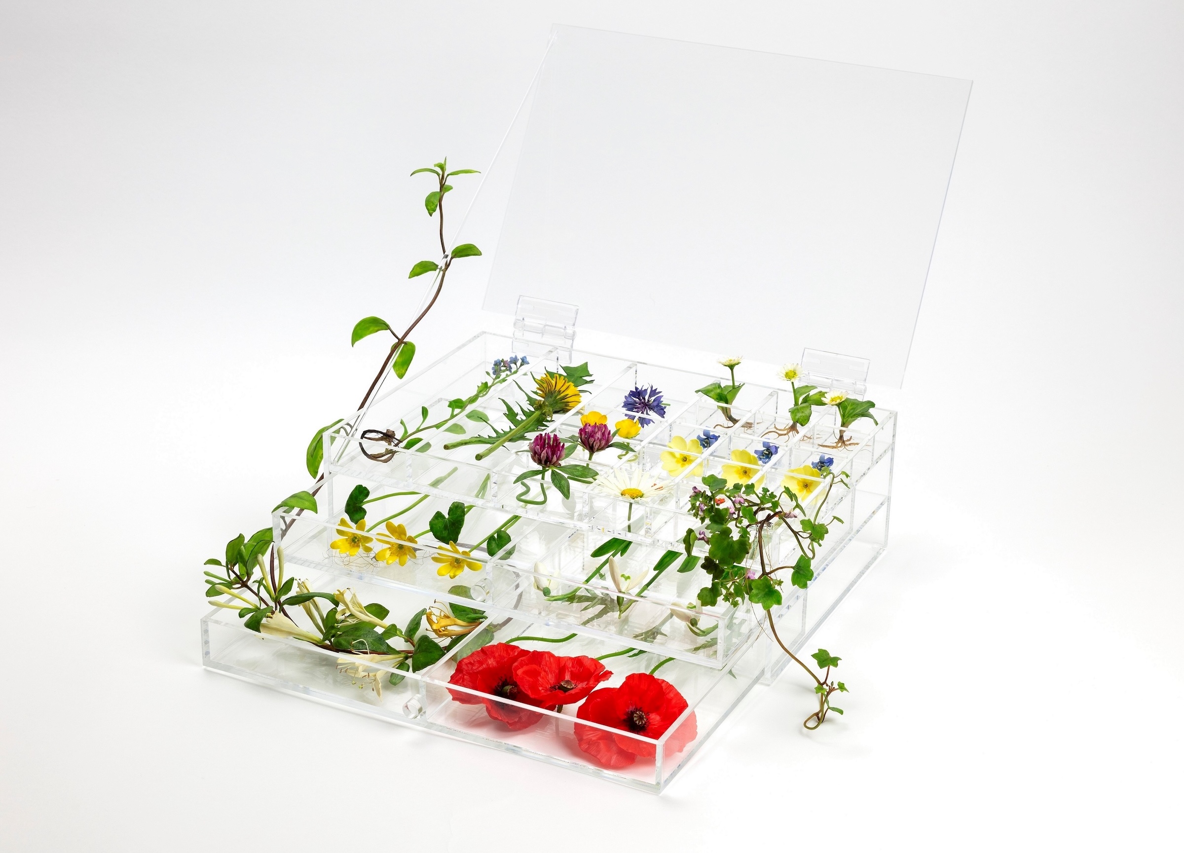 Brightly coloured wax flowers arranged inside compartmentalised sections of a transparent jewellery box.