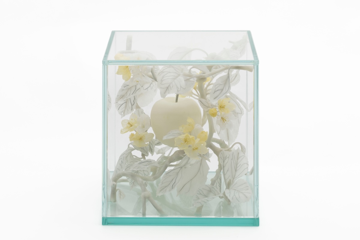 White and yellow beeswax sculpture of apple, branches, flowers and leaves mounted inside a glass cube