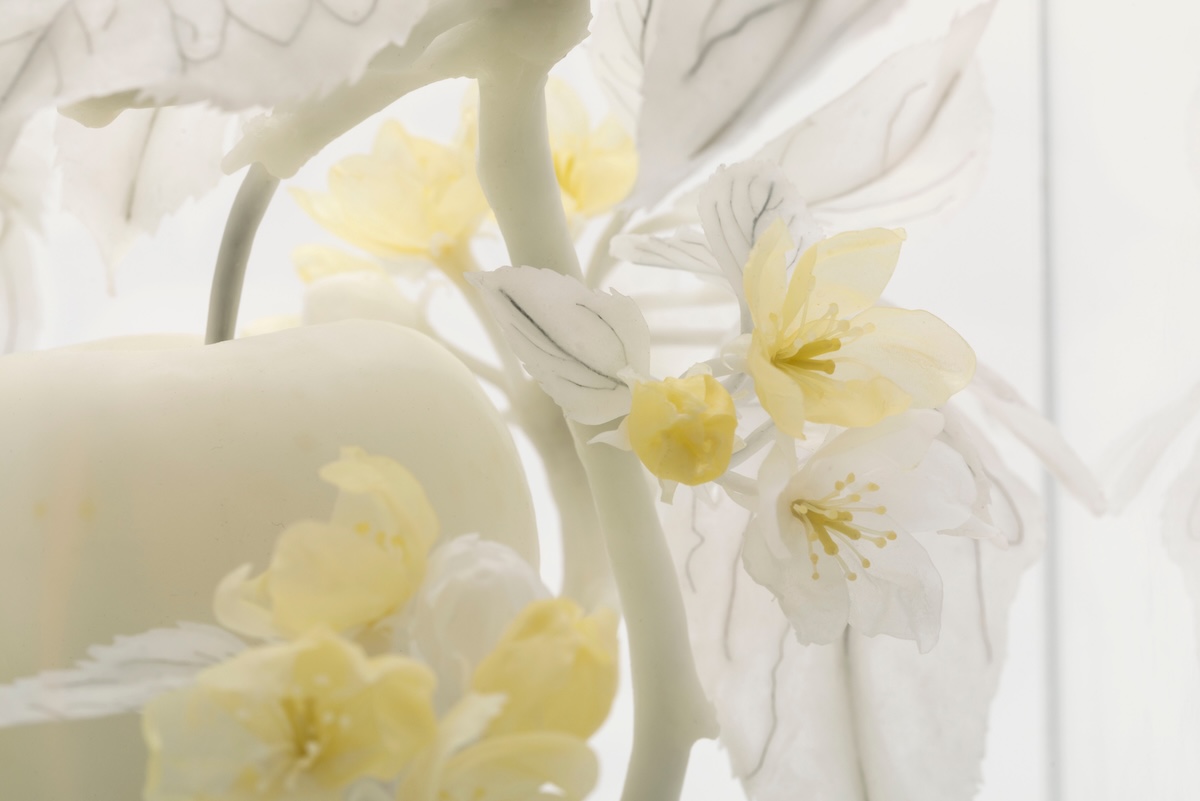 White and yellow wax apple blossom flowers, apple and leaves.<br />
