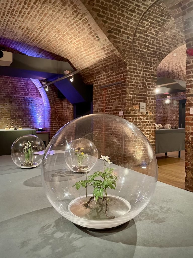 Installation view of Life Support botanical wax sculptures displayed in glass orbs beneath the brick vaults of the Royal Society of Arts, London.